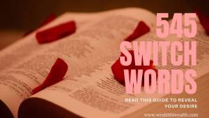 545 switch words